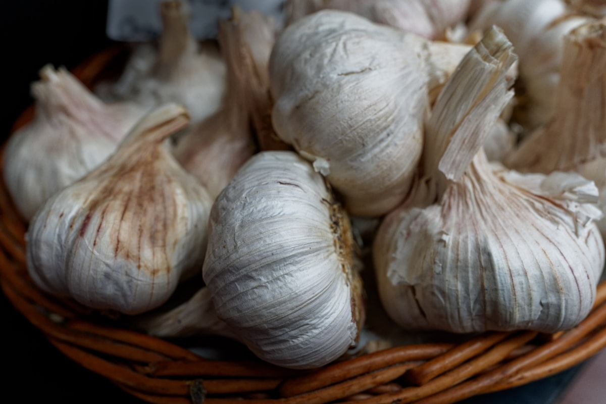 Aglio biologico e proprietà nutrizionali
