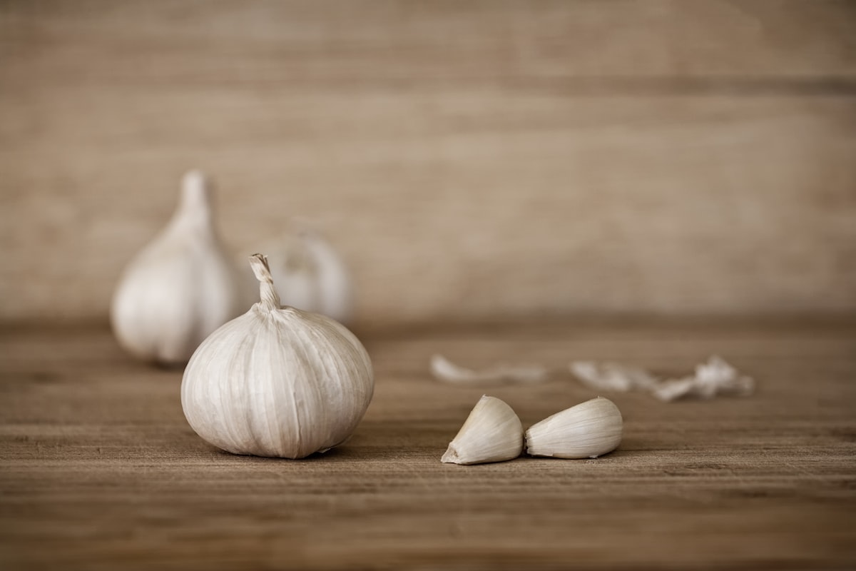 Coltivazione dell'aglio in orto biologico